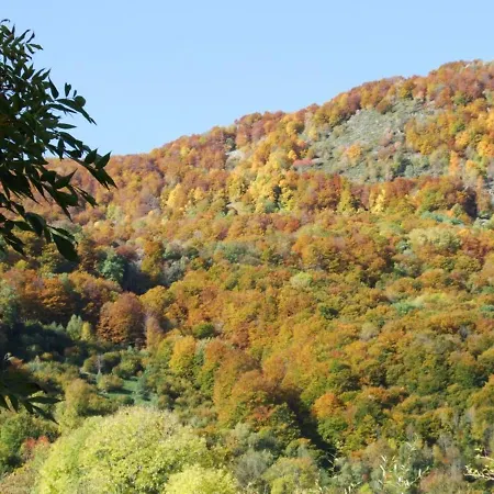 Maison De Caractere Renovee - 8 Pers, Terrain Clos, Cheminee, Proche Gr4 Et Gr400, Activites Nature - Fr-1-742-283